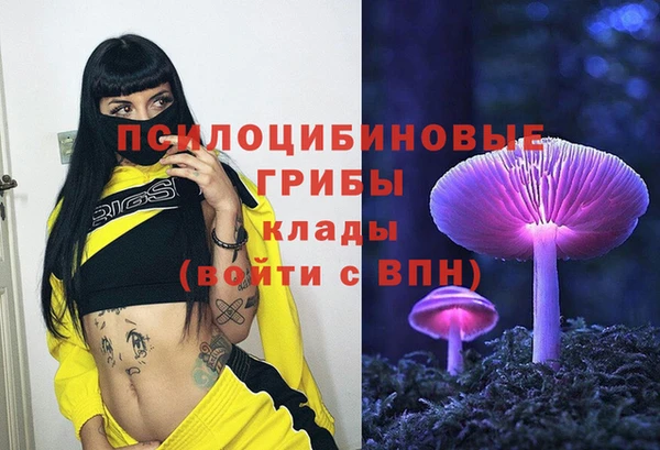 винт Покачи