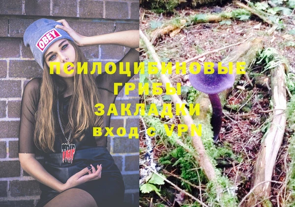 сатива Покровск