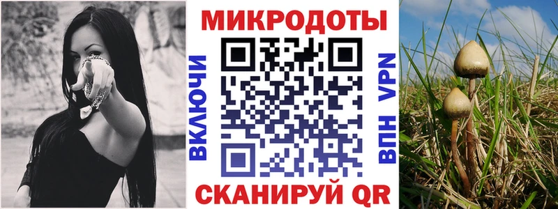 Галлюциногенные грибы Cubensis  Сердобск 