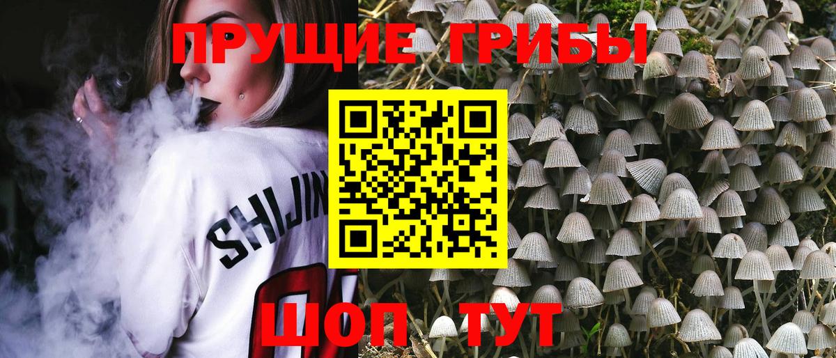 Галлюциногенные грибы прущие грибы Сердобск