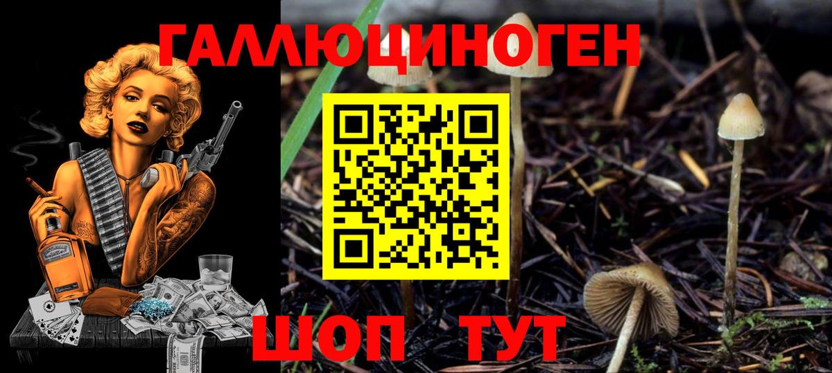 Галлюциногенные грибы мухоморы  Вход с VPN  Сердобск 