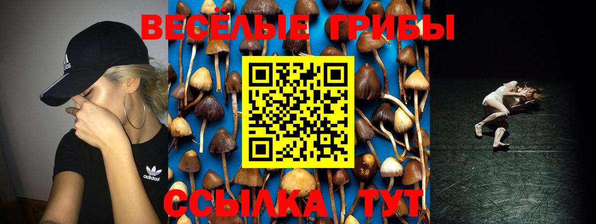 Псилоцибиновые грибы GOLDEN TEACHER Сердобск