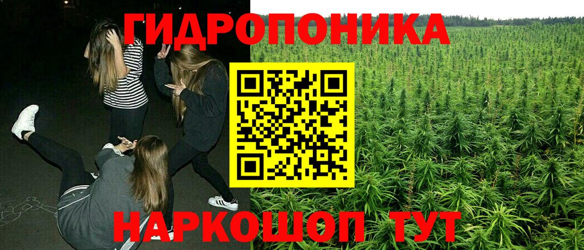 Конопля THC 21%  Бошки Шишки OG Kush  Вход с VPN  Сердобск  Конопля Bruce Banner 